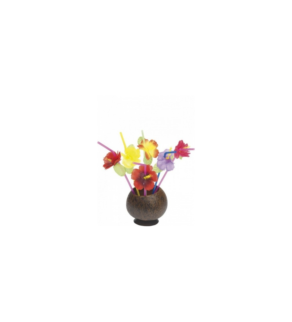 Havajská brčka - květy
