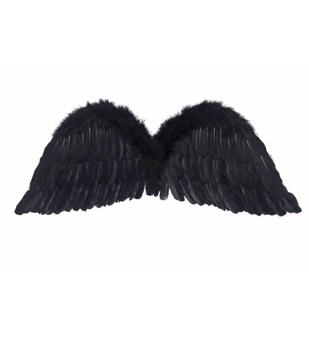 Černá andělská křídla