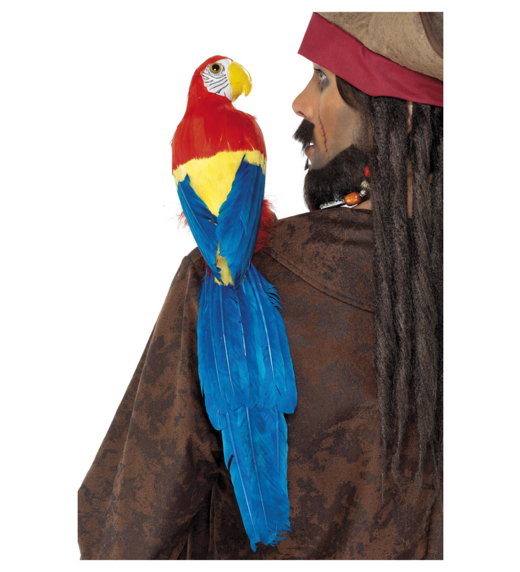 Pirátský papoušek