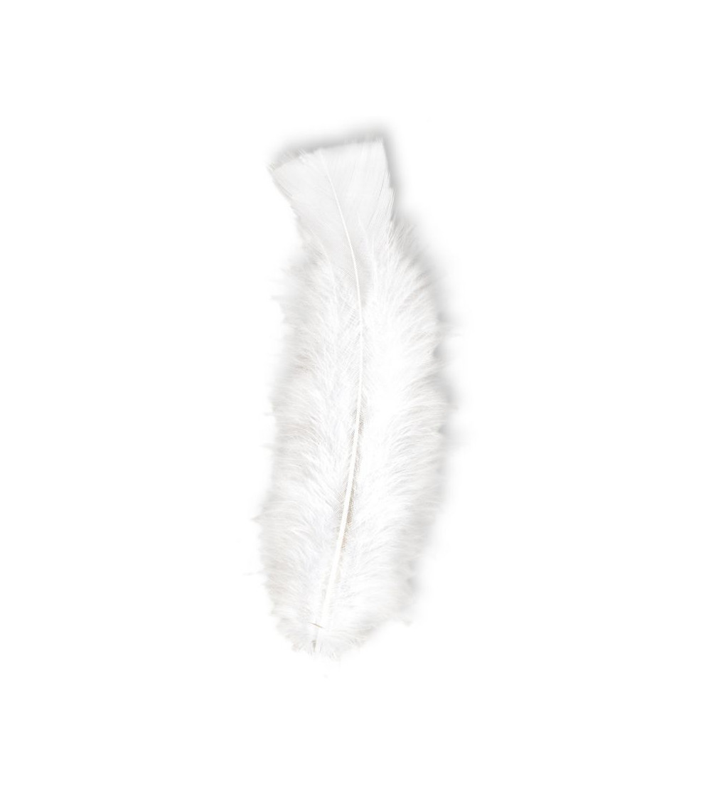 Peříčka bílé (10cm)