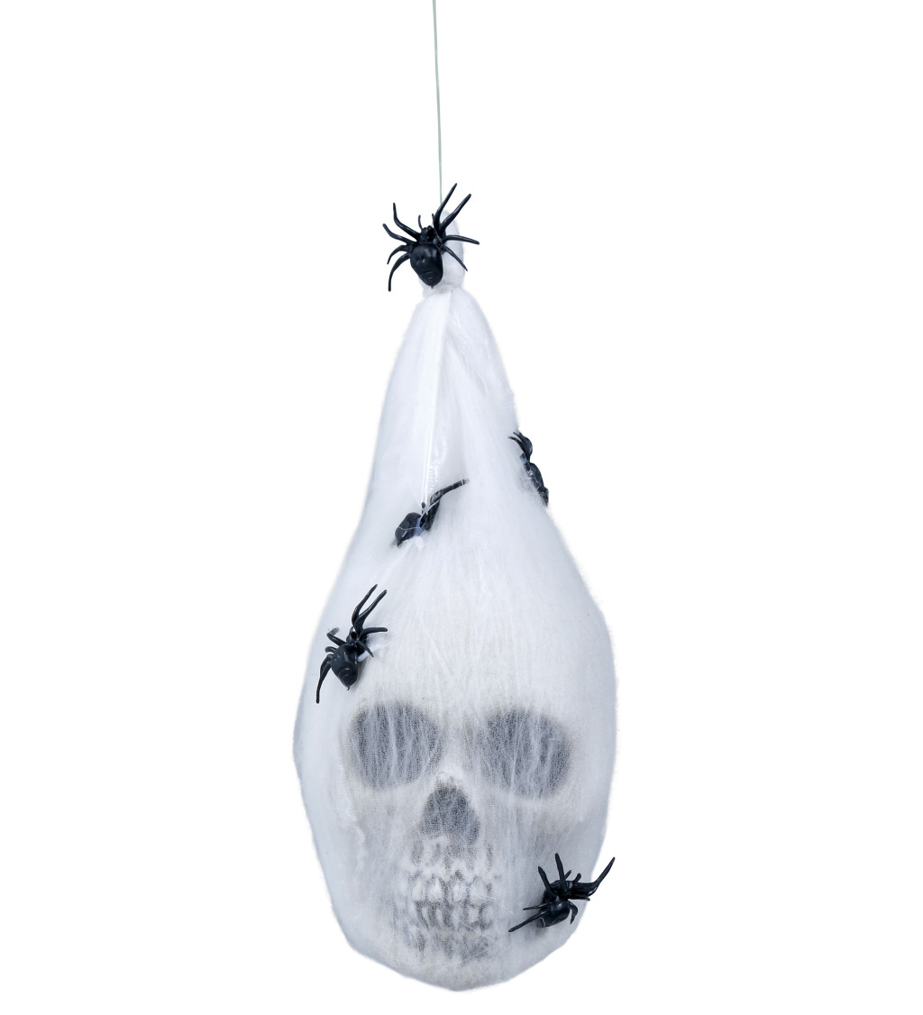 Pavoučí síť s lebkou