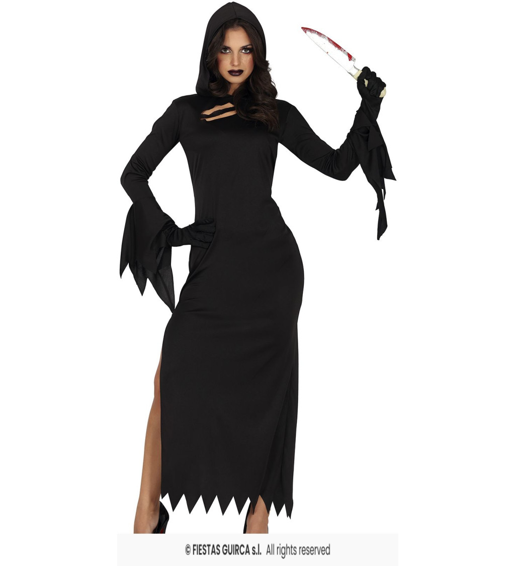 Dámský kostým assassin