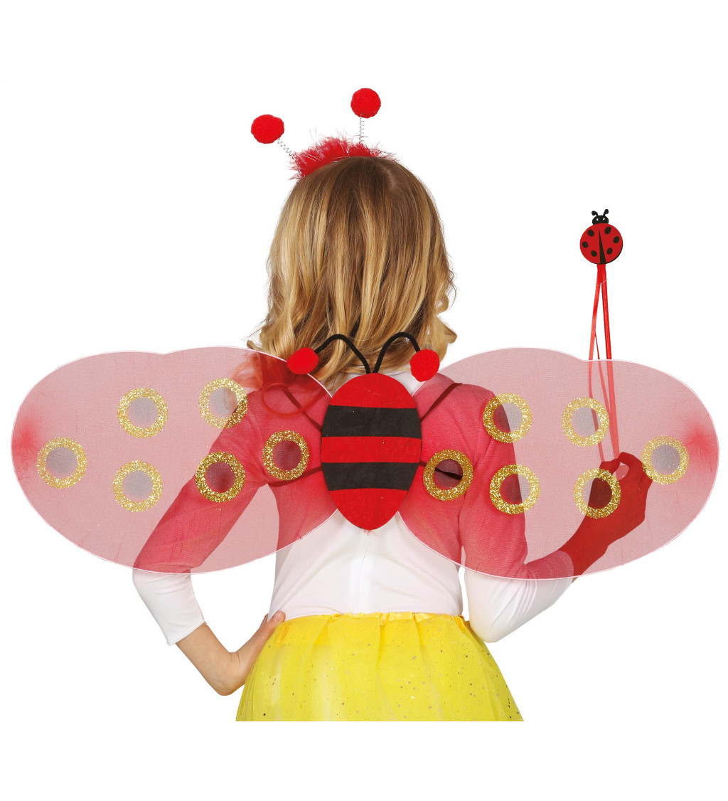 Sada -Křídla berušky s korunkou a hůlkou