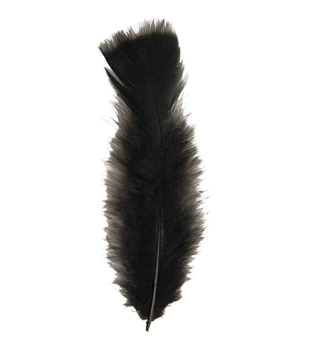 Peříčka černé (10cm)
