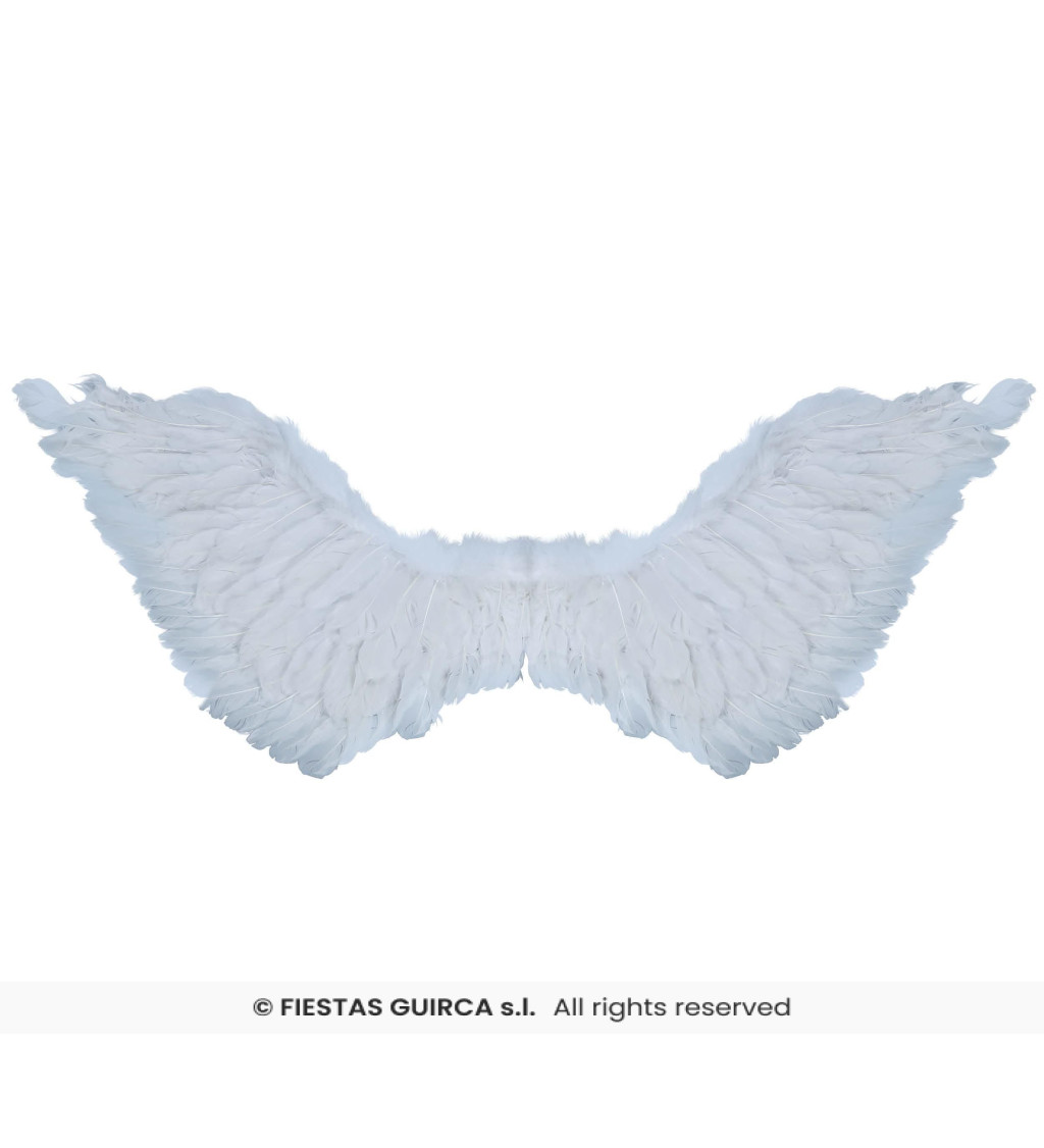 Bílá peříčková křídla