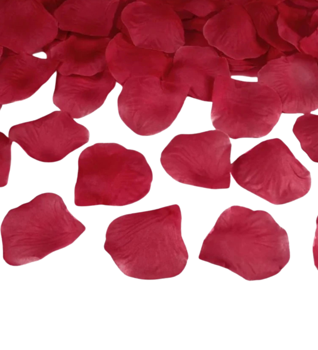 Okvětní lístky růží - vínové