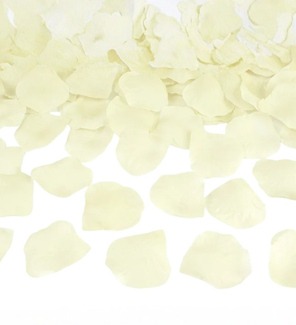 Okvětní lístky růží - krémové