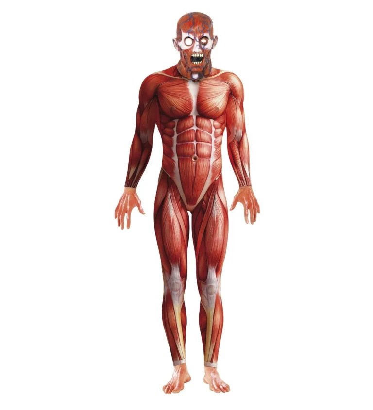 Pánský kostým - Anatomie člověka
