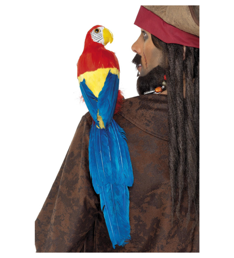 Pirátský papoušek